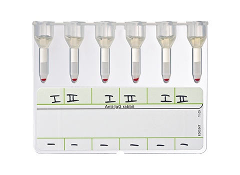 Bio-Rad_50540_Coombs-Anti-IgG_Antibody-Screening