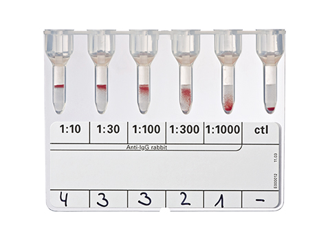 Bio-Rad_50870_DAT IgG-Dilution