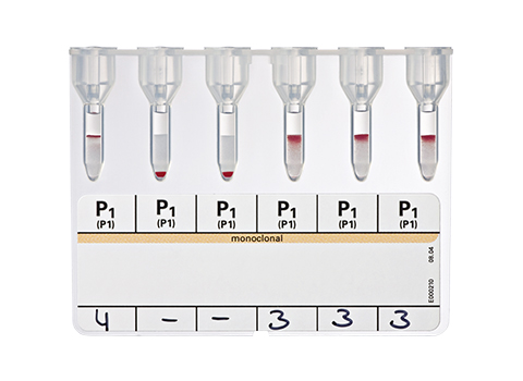 Bio-Rad_51180_DiaClon Anti-P1.jpg