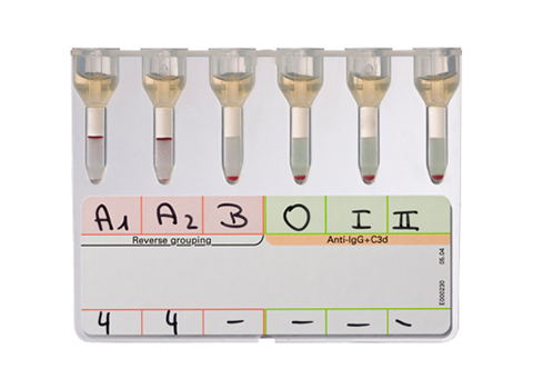 Bio-Rad_50510_Reverse Grouping with Antibody Screening