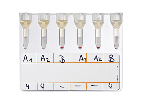 Bio-Rad_50520_NaCl,-Enzyme-Test-and-Cold-Agglutinins_Reverse-Grouping