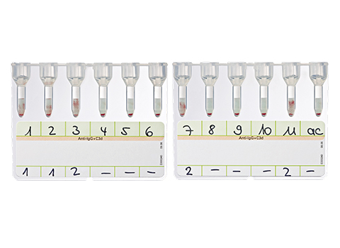 Bio-Rad_50531_LISS-Coombs_Antibody-Identification