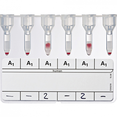 Bio-Rad_50140_Anti-A1 Absorbed