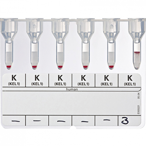 Bio-Rad_50190_Anti-K