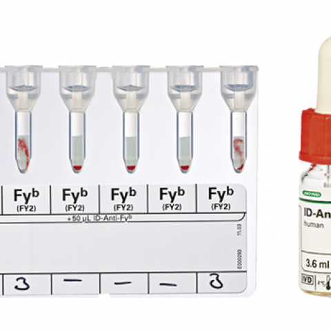Bio-Rad_50360_09310_Test of Antigen Fyb ID-Card Fyb, Test Serum ID-Anti-Fyb