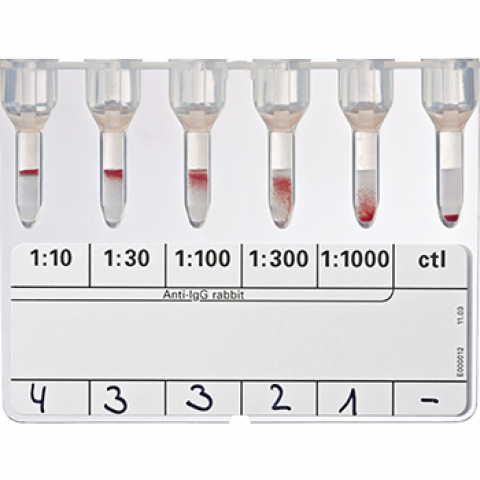 Bio-Rad_50870_DAT IgG-Dilution