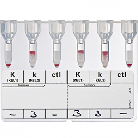 Bio-Rad_51220_Anti-Kk