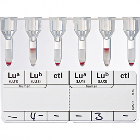 Bio-Rad_51230_Anti-LuaLub