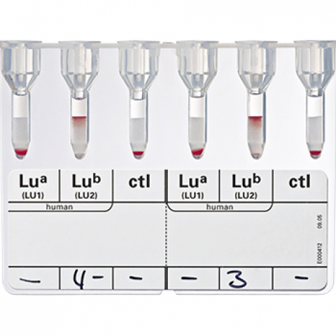 Bio-Rad_51230_Anti-LuaLub