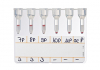 Bio-Rad_50520_NaCl,-Enzyme-Test-and-Cold-Agglutinins_Antibody-Identification